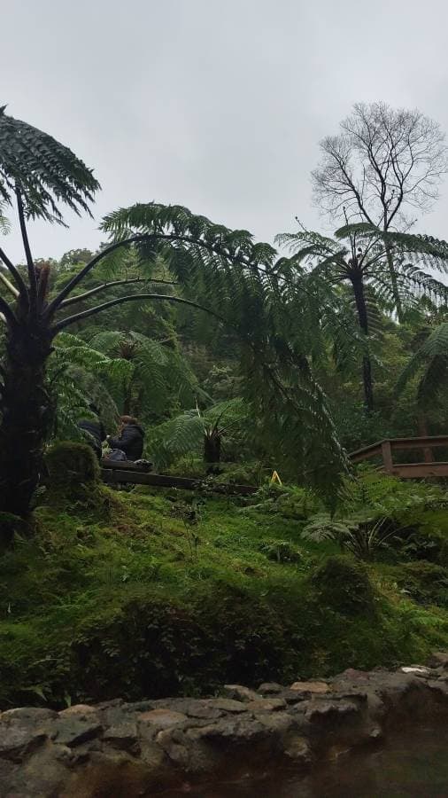 Foto 5 de Manuel F. sobre o aluguer de um Nissan Micra no aeroporto de Ponta Delgada (09/03/25)