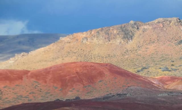 Zdjęcie 11 wykonane przez Witold K. (25.03.26)