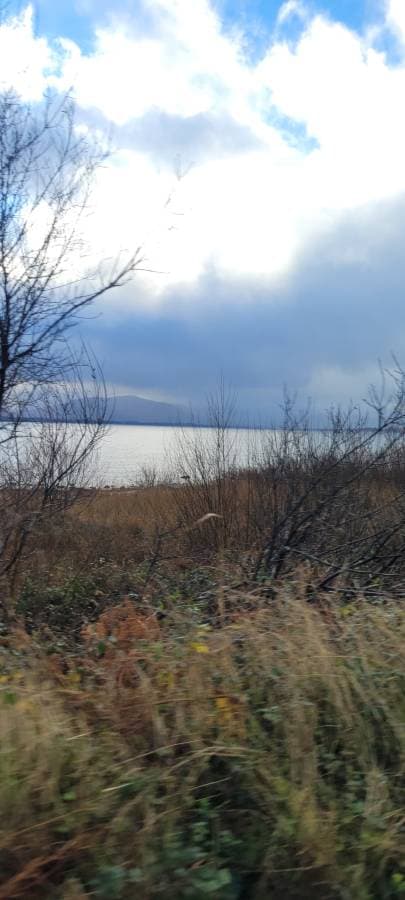 Photo 4 by Corinne V. about renting a Ford Puma at Knock Airport (1/2/25)