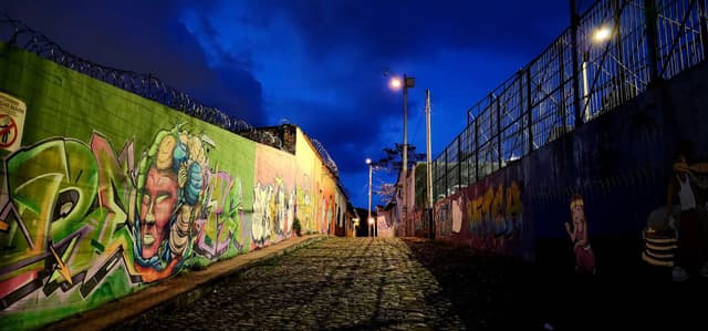 Photo 5 by Yixin L. (7/28/23)