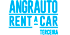 Angrauto logo