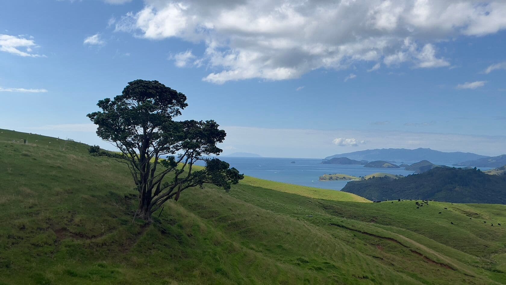 Coromandel Peninsula on the North Island of New Zealand