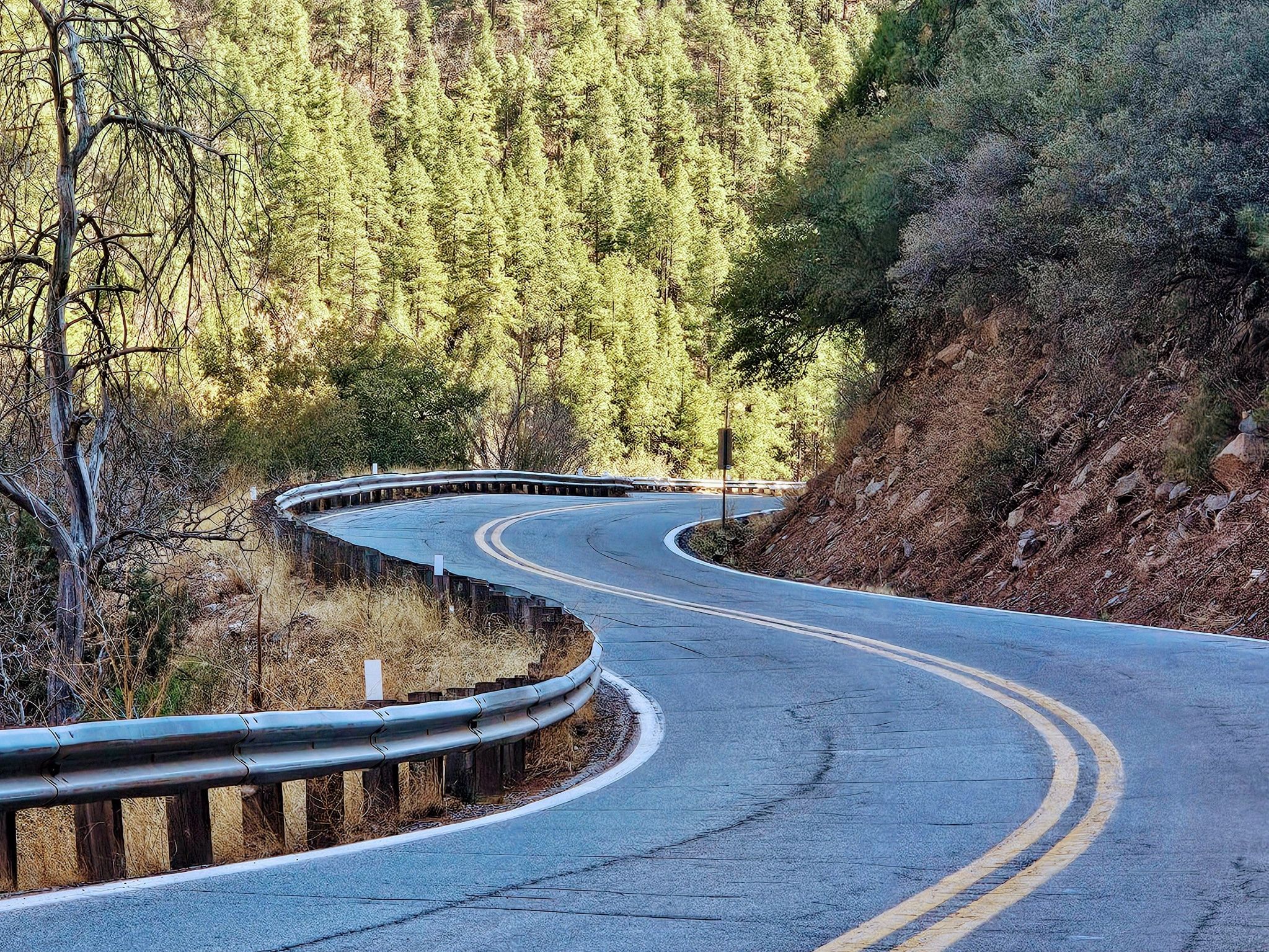 Curvy forest Arizona road