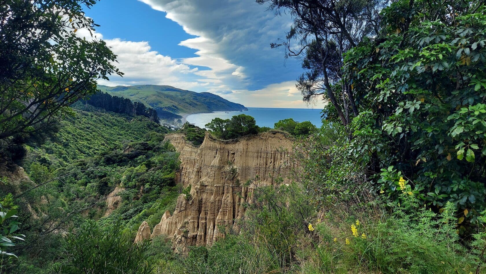 A scenic view of cliffs and the ocean on the North Island of New Zealand