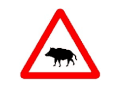 a wild boar road sign in Spain