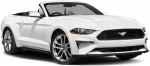 Ford Mustang Cabrio Ford Mustang Cabrio
