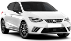 Seat Ibiza in Passau