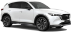 Mazda CX-8 in Chubu