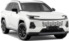 Toyota RAV4 in Tauranga