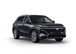 Geely Starray *Model Guaranteed*